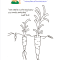 Bible Key Point Coloring Page | Parable of the Sower
