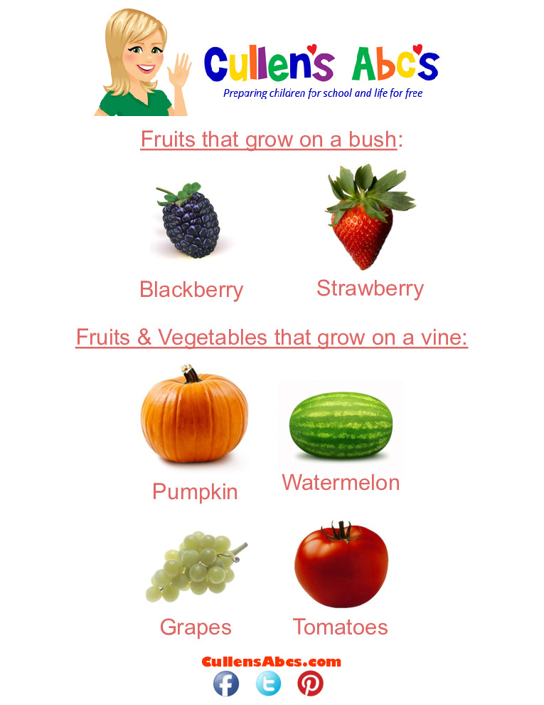 thumbnail of Where-Fruits-Vegetables-Grow