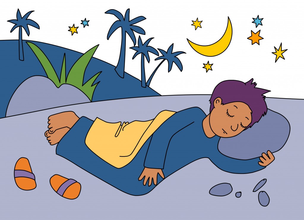 Jacobs Dream Color 1024x744