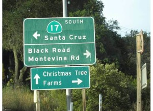 christmas-tree-farms
