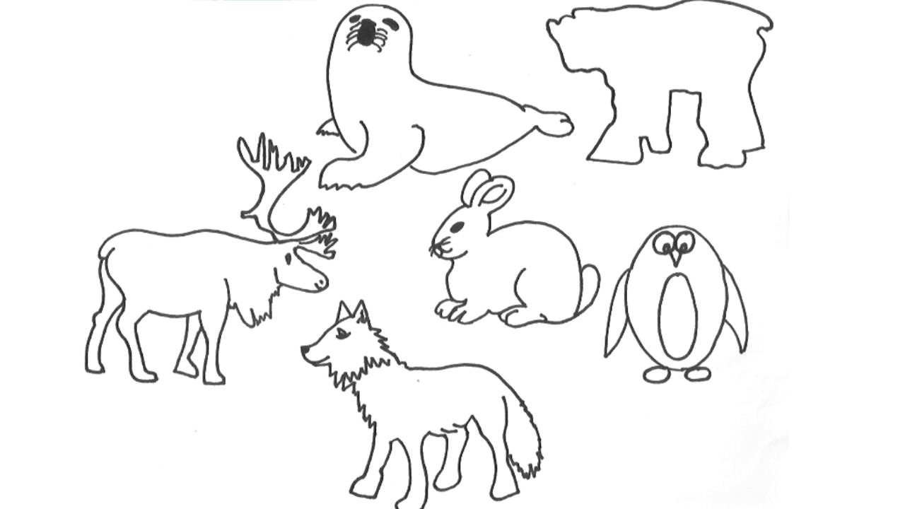 animal thumbnails